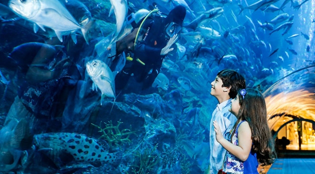 Eğitim köşesinde bilgilendirici panolar