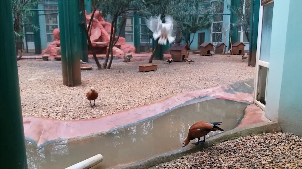 Eğitim köşesinde bilgilendirici panolar