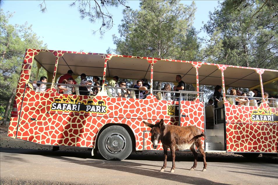Eğitim köşesinde bilgilendirici panolar