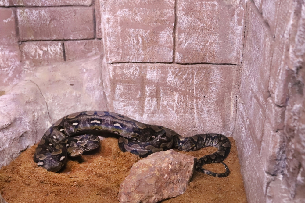 Eğitim köşesinde bilgilendirici panolar